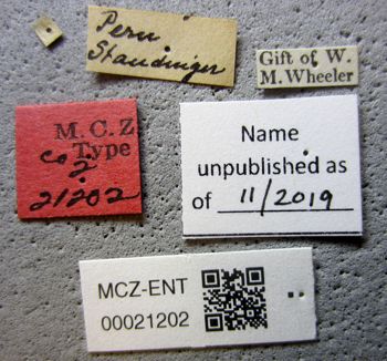 Media type: image;   Entomology 21202 Aspect: labels